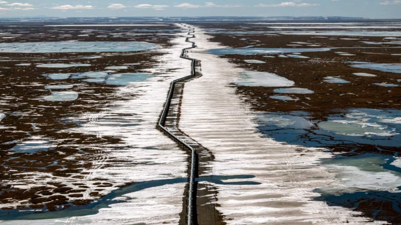 An oil pipeline stretches across the landscape outside Prudhoe Bay in North Slope Borough, Alaska on 25 May, 2019.