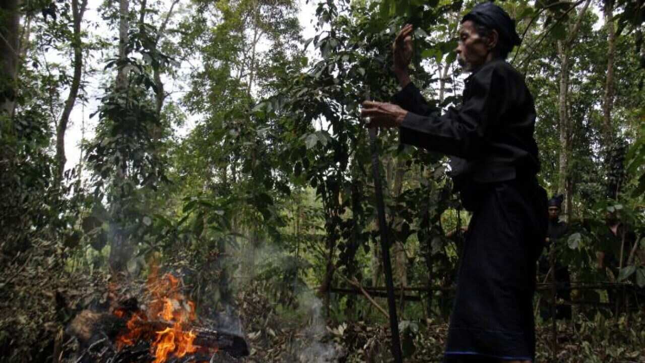 A practicing tradition from the local tribe in their customary forest.