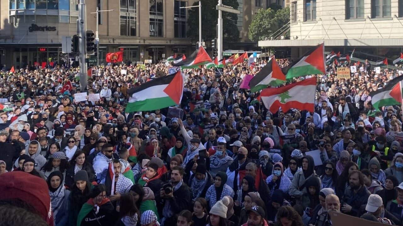 Large crowds gather at Sydney Town Hall to protest against escalating violence between Israel and Palestinian militants in Gaza.