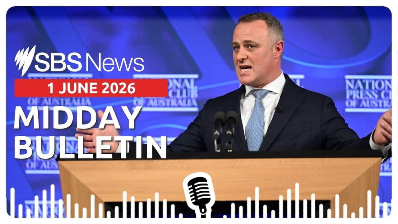 Midday News Bulletin image 1 June 2026.jpg
