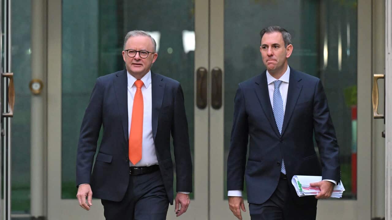 ANTHONY ALBANESE JIM CHALMERS BUDGET REAX