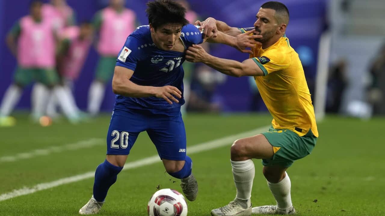 Qatar Australia Uzbekistan Asian Cup Soccer