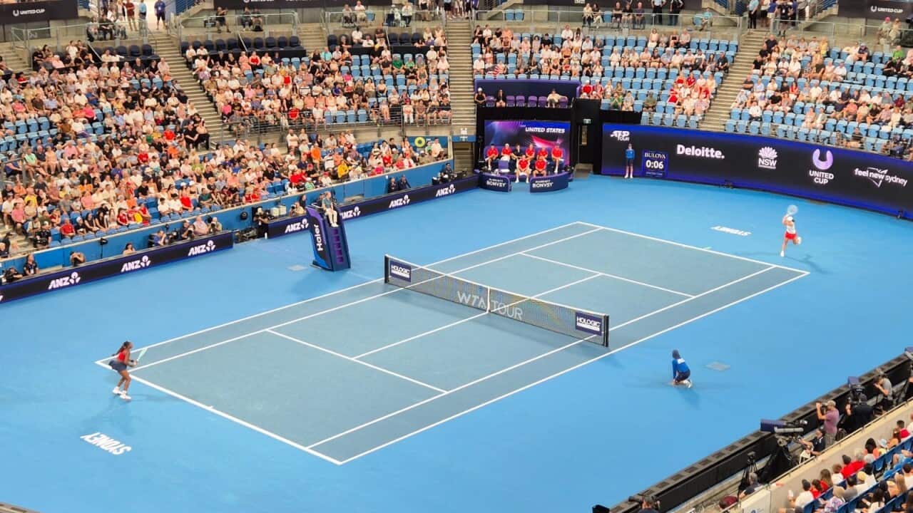 United Cup Piotr Haczek.jpg