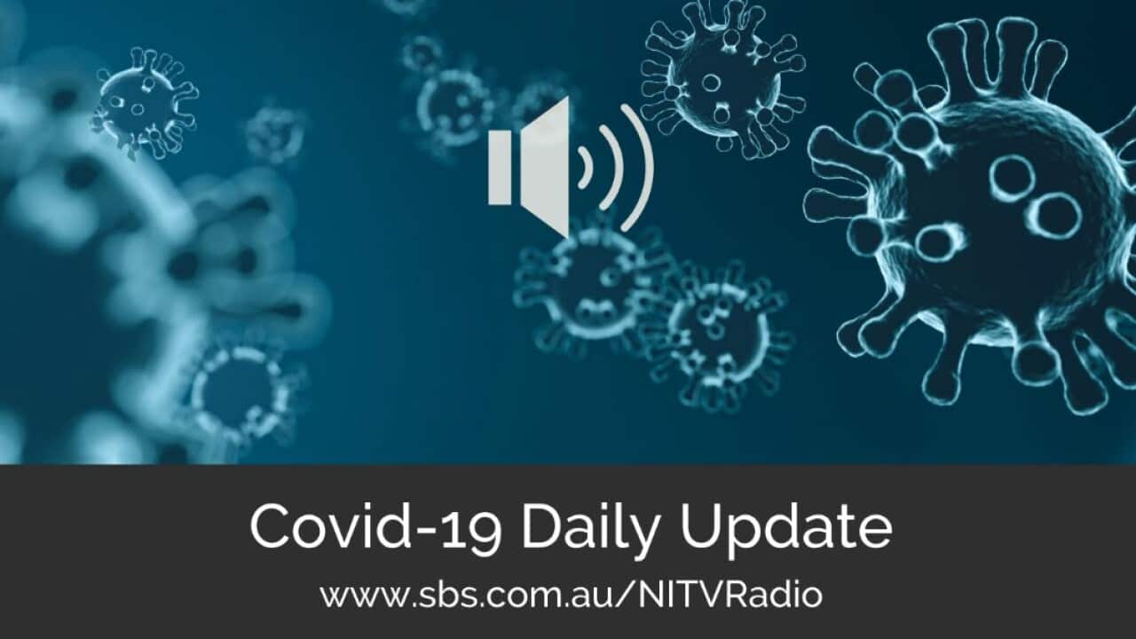 covid updates