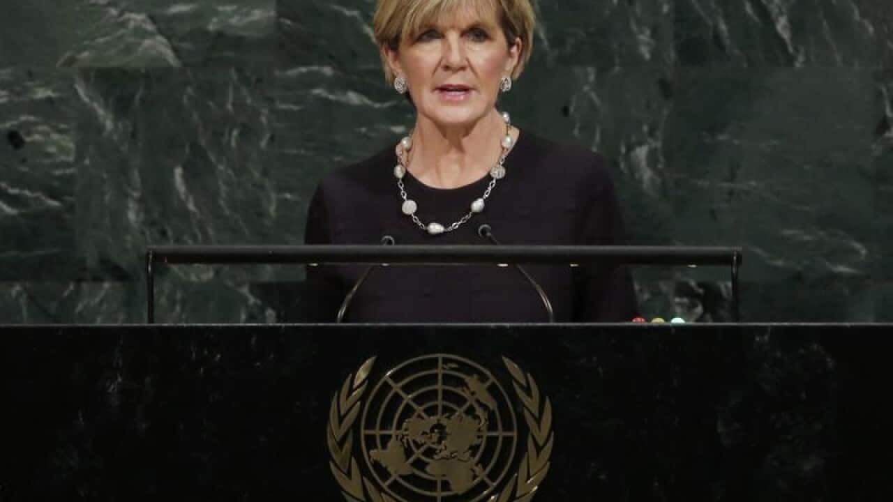 Foreign Minister Julie Bishop of Australia addresses the UN.