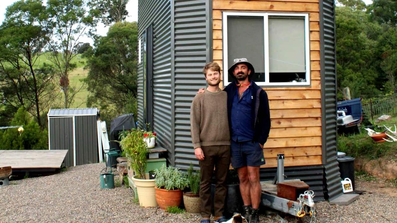 Two men and a dog are standing outside a small home made of wood and steel surrounded by pot plants