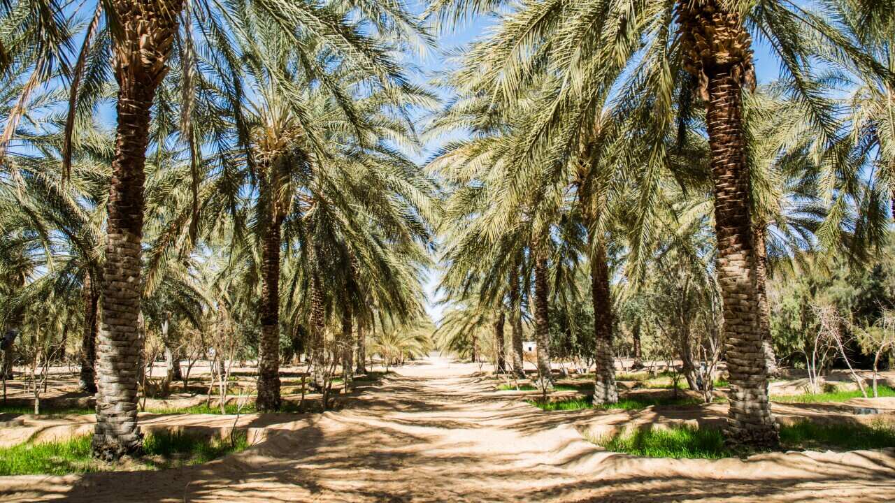 Missione a Rjim Maatoug per video 8 marzo