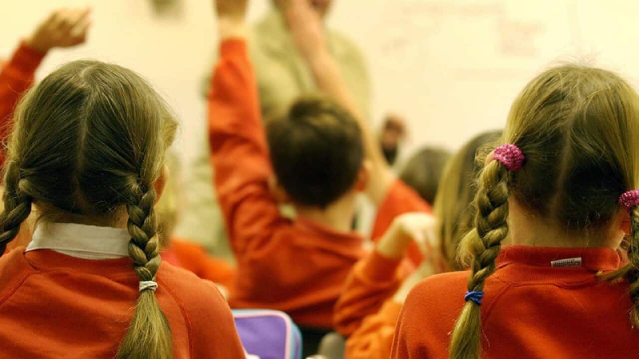 Primary school pupils.