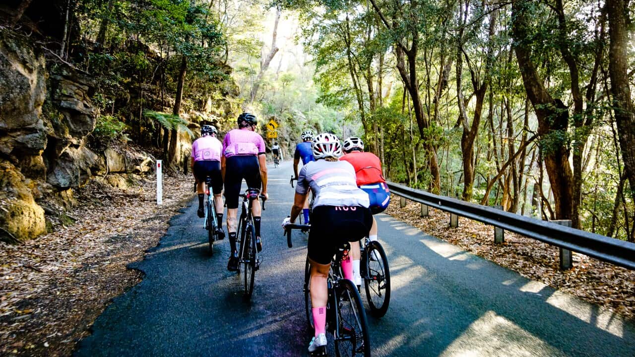 Cycling through the highs and lows.