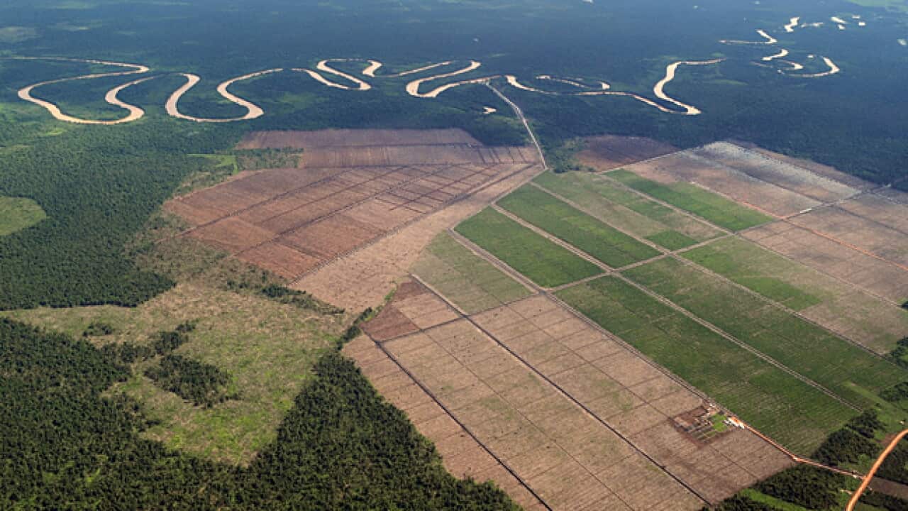 land_degraded_L_getty_103876072