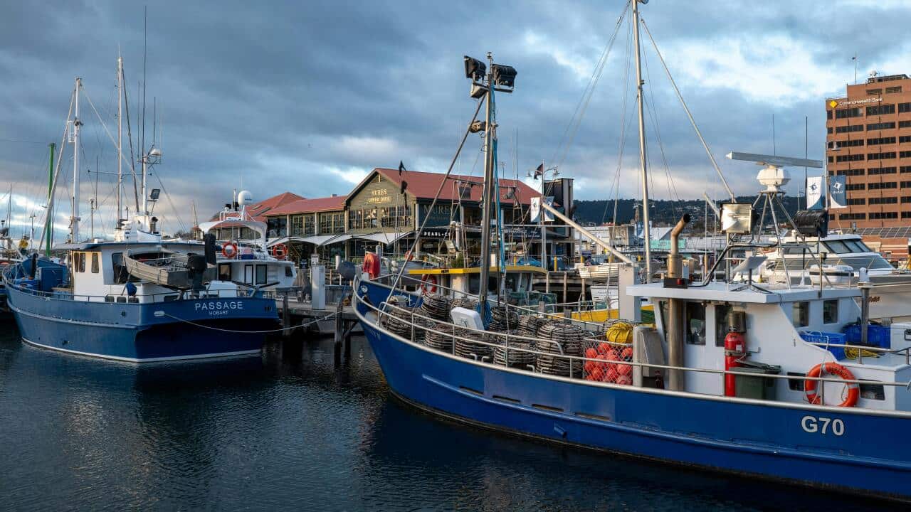 Fishing boats during dawn at Hobart Waterfront.