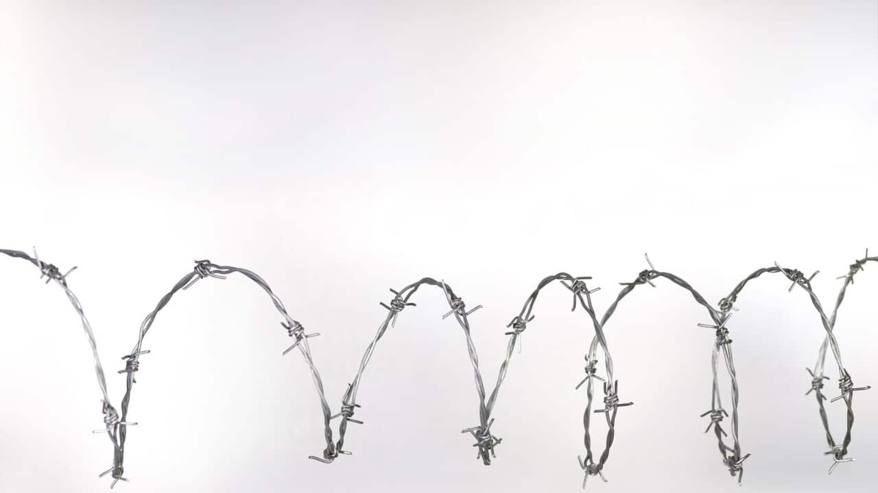 Barbed wire