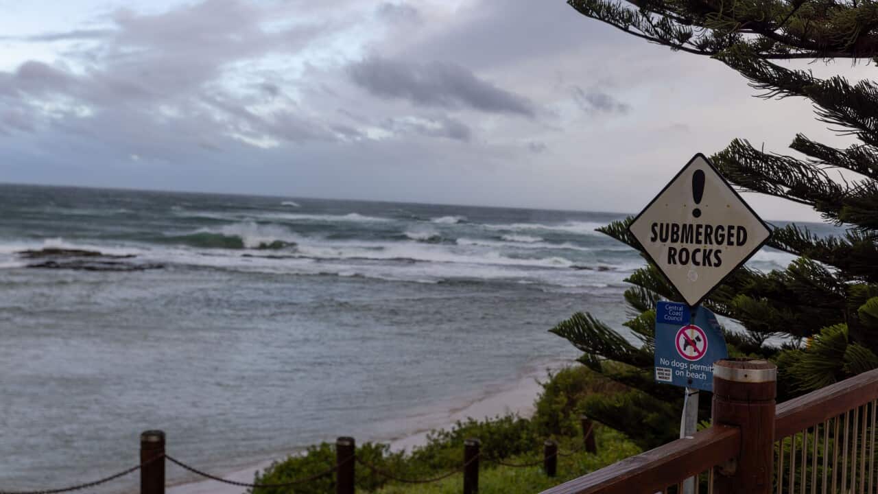 Image for read more article ''