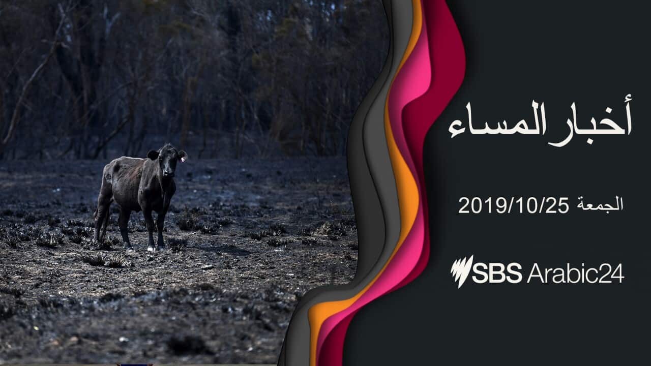 arabic news