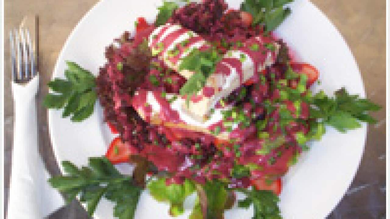 Warm goat's cheese and berry salad