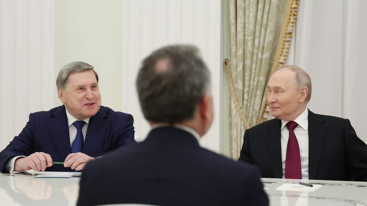 Image for read more article 'Per approfondire:'