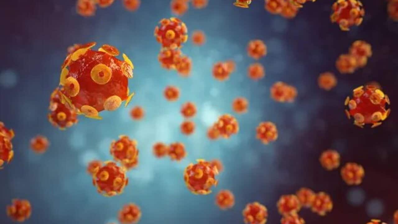An illustration of hepatitis viruses.