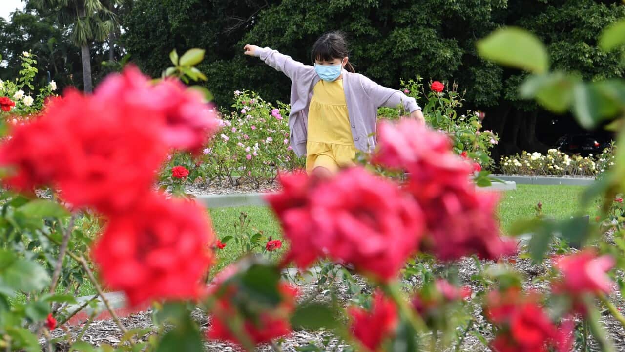 A child plays in the rose gardens in New Farm Park in Brisbane