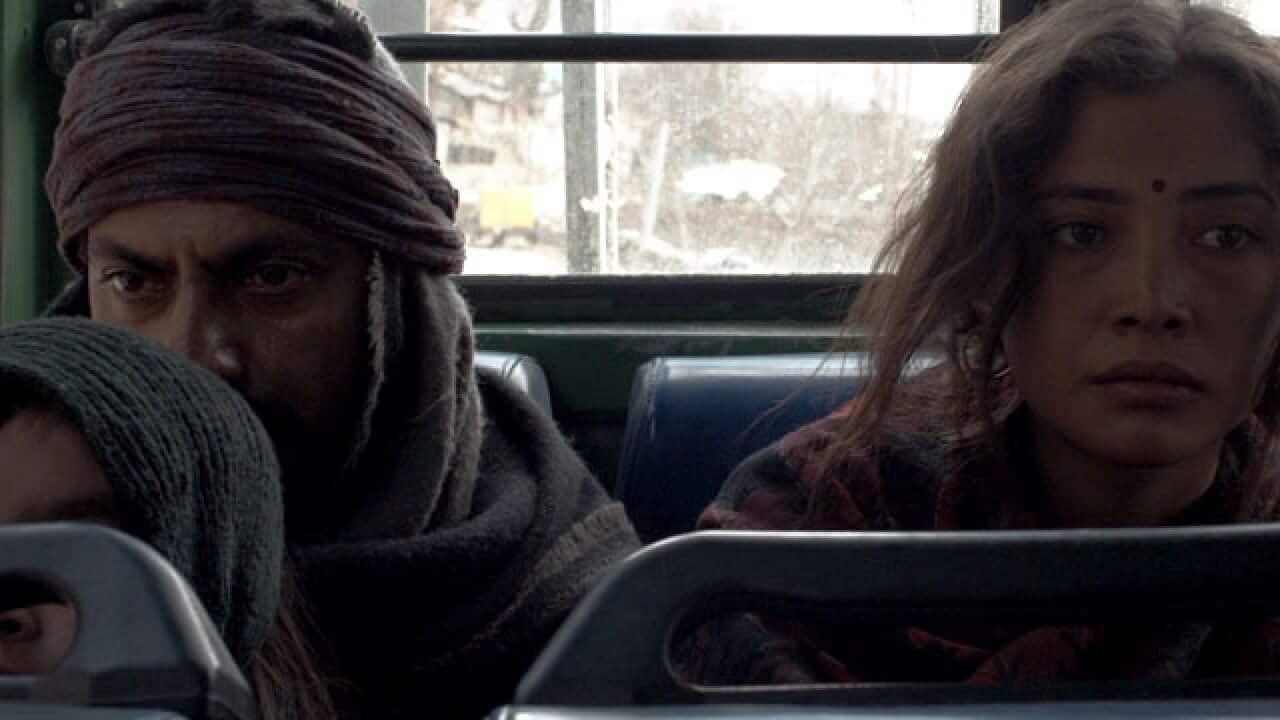 Liar's-Dice_640_29941363