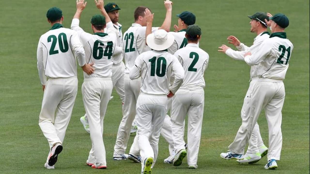 Tigers players celebrate the dismissal of SA's Tom Cooper