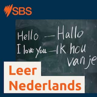 SBS-Podcasts_Learn Dutch_3000x3000px_LTR.jpg