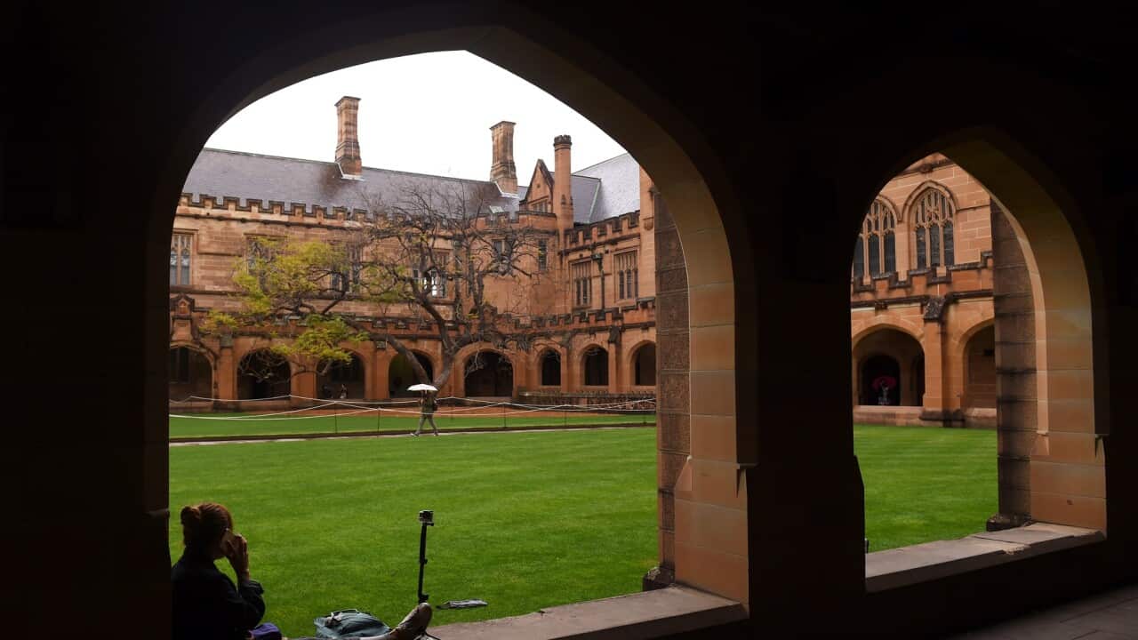 The quadrangle at the University of Sydney