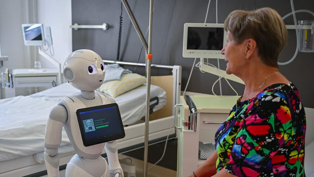 Pilot study on interaction between humans and robots