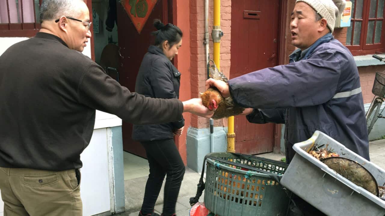 A man (R) sells live birds on the streets of Shanghai