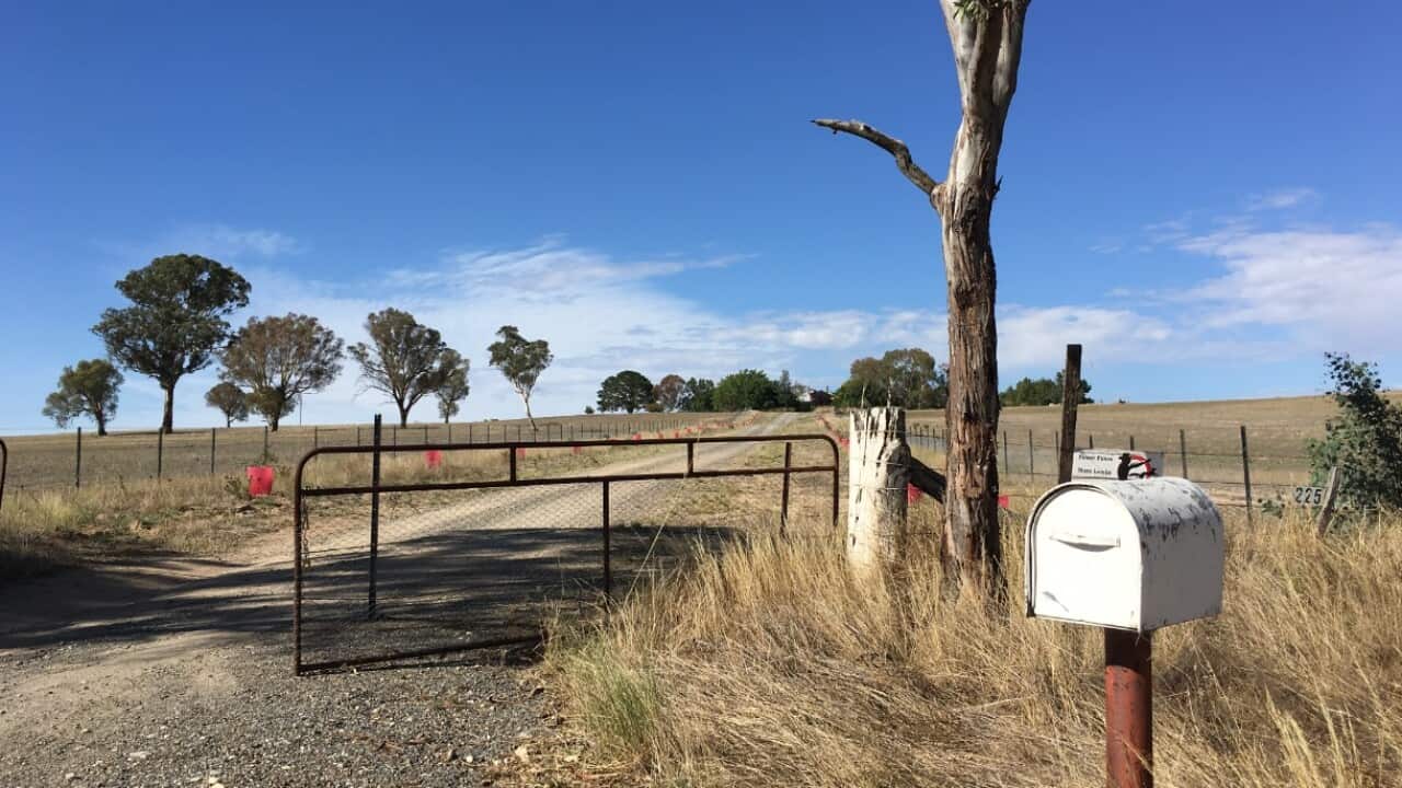 At the gates of the farm, via David Sharaz
