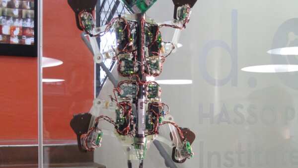 Stickybot Stickybot climbs up the walls | SBS News