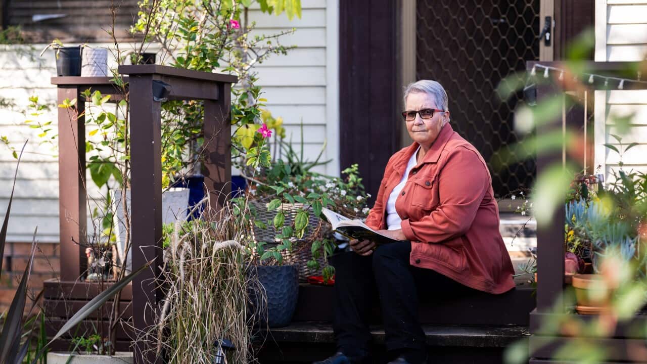 Image for read more article 'DE VERHALEN IN DEZE UITZENDING'