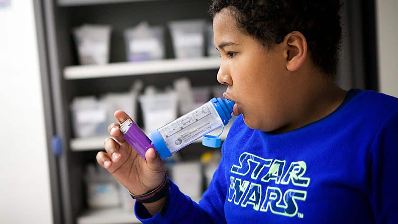 Bitter is better for asthma patients