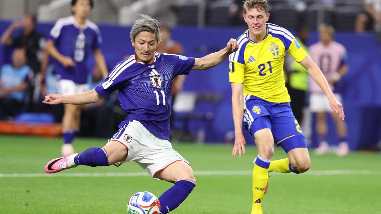 Daizen Maeda,Alexander Bernhardsson