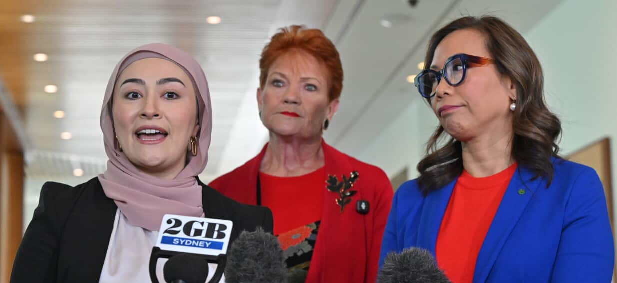 Why Pauline Hanson joined forces with Muslim and Vietnamese-born MPs