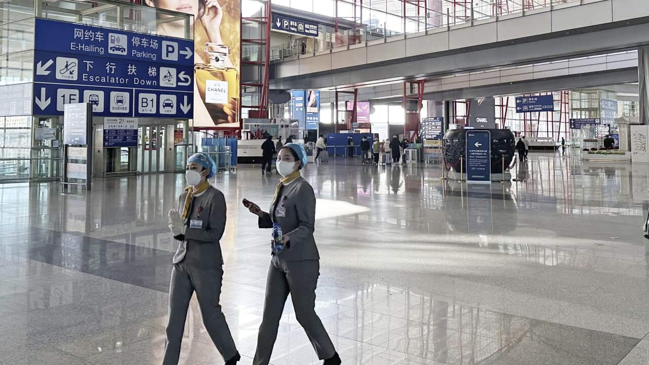 Novel coronavirus / China