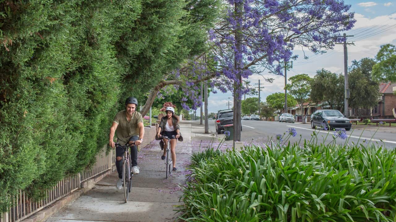 Cyclists in suburban Sydney