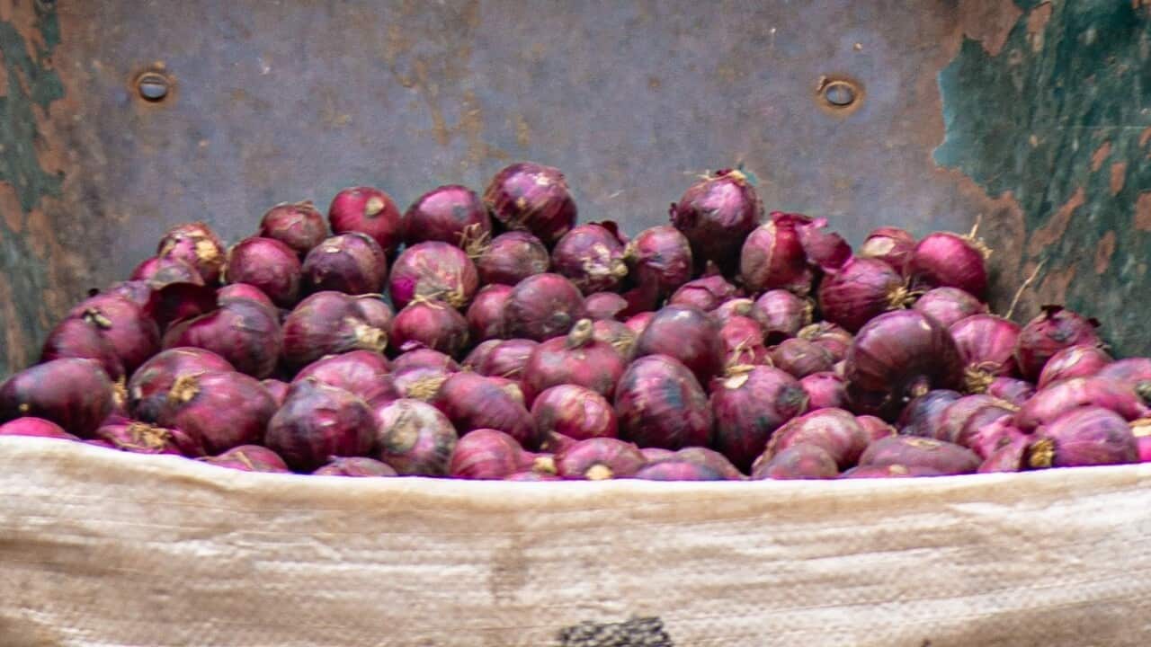 pexels-david-iloba-12642131 (1).jpg