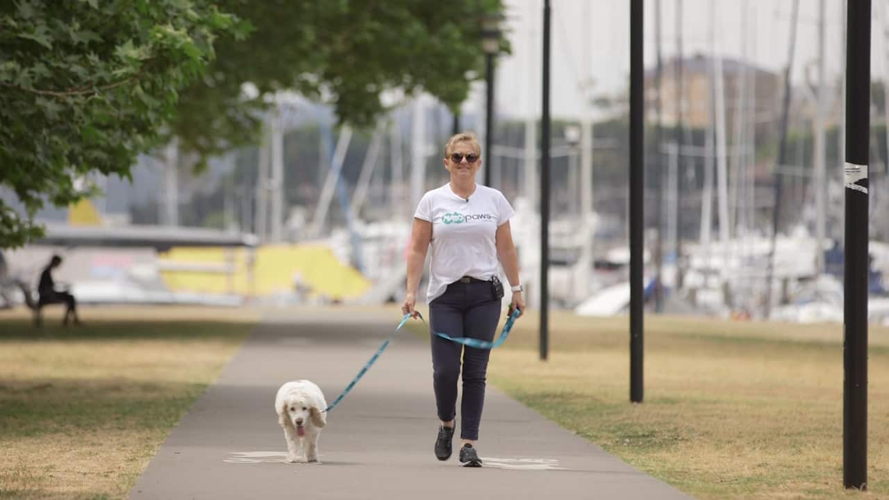 Mad Paws connects animal lovers with pets who need looking after.