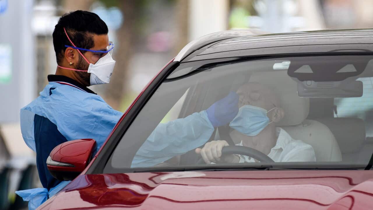 Australian News in Sinhala on 04 Jan: Victorian has introduced new rules for anyone testing positive on a rapid antigen test