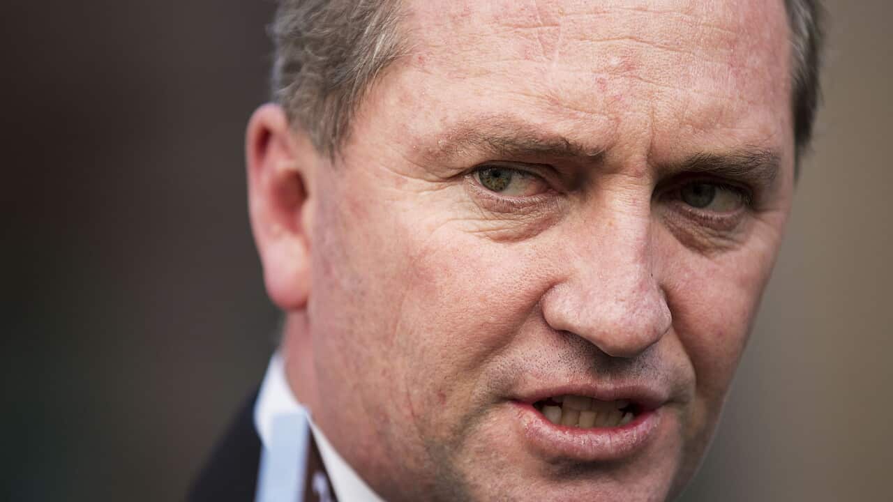 barnaby_joyce_getty_131106.jpg
