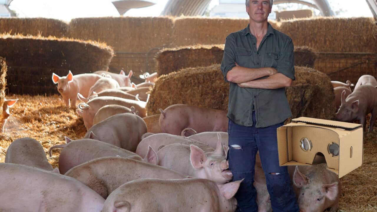 For the Love of Meat