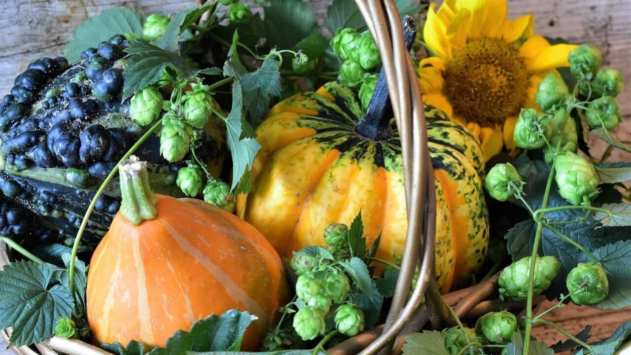 Image for read more article 'READ MORE'