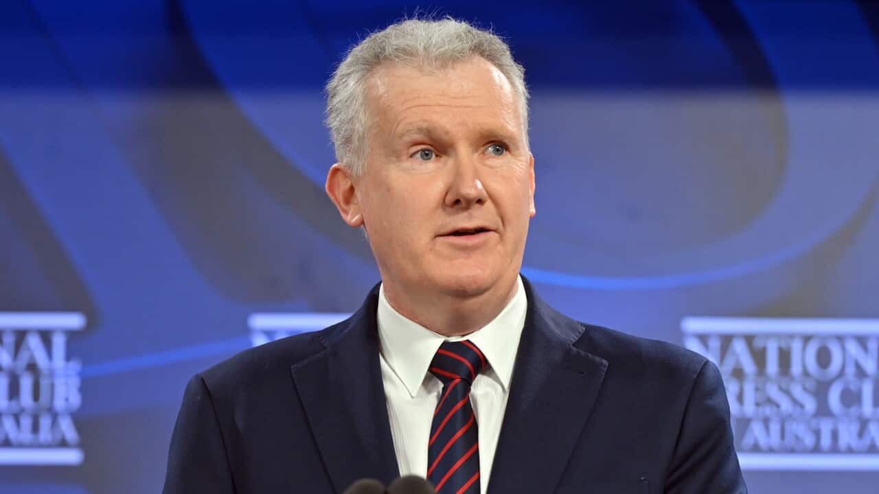 TONY BURKE PRESS CLUB