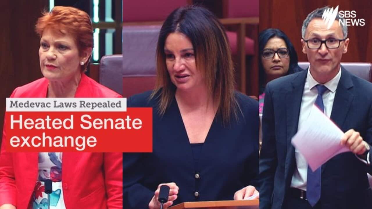 Senators fiercely debate the government's plans to repeal medevac laws.