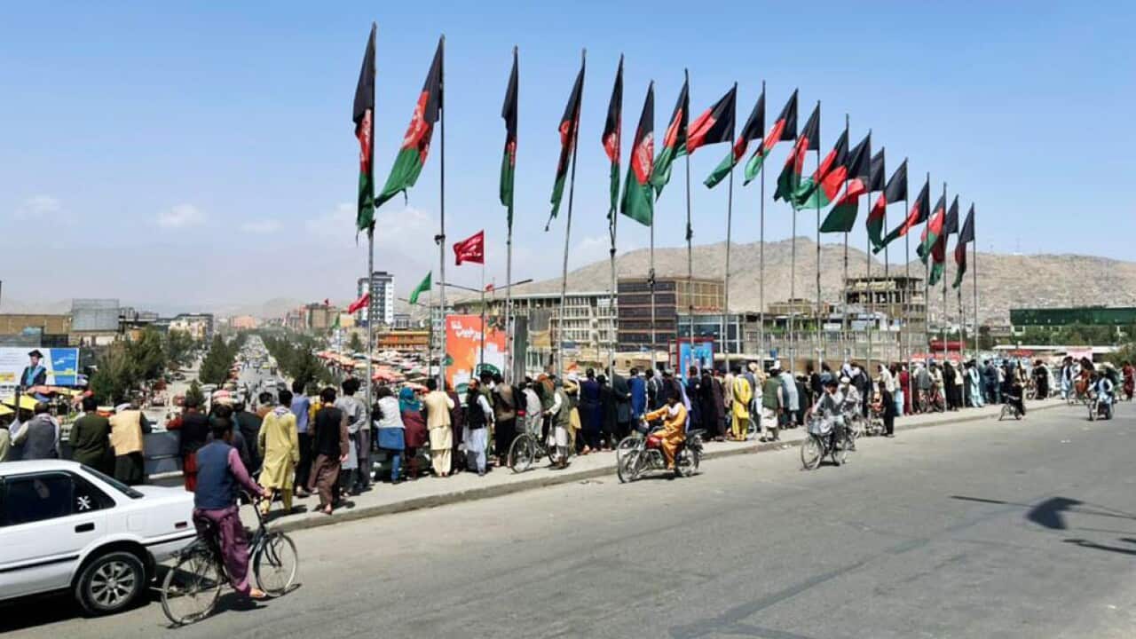 Image for read more article 'READ MORE'