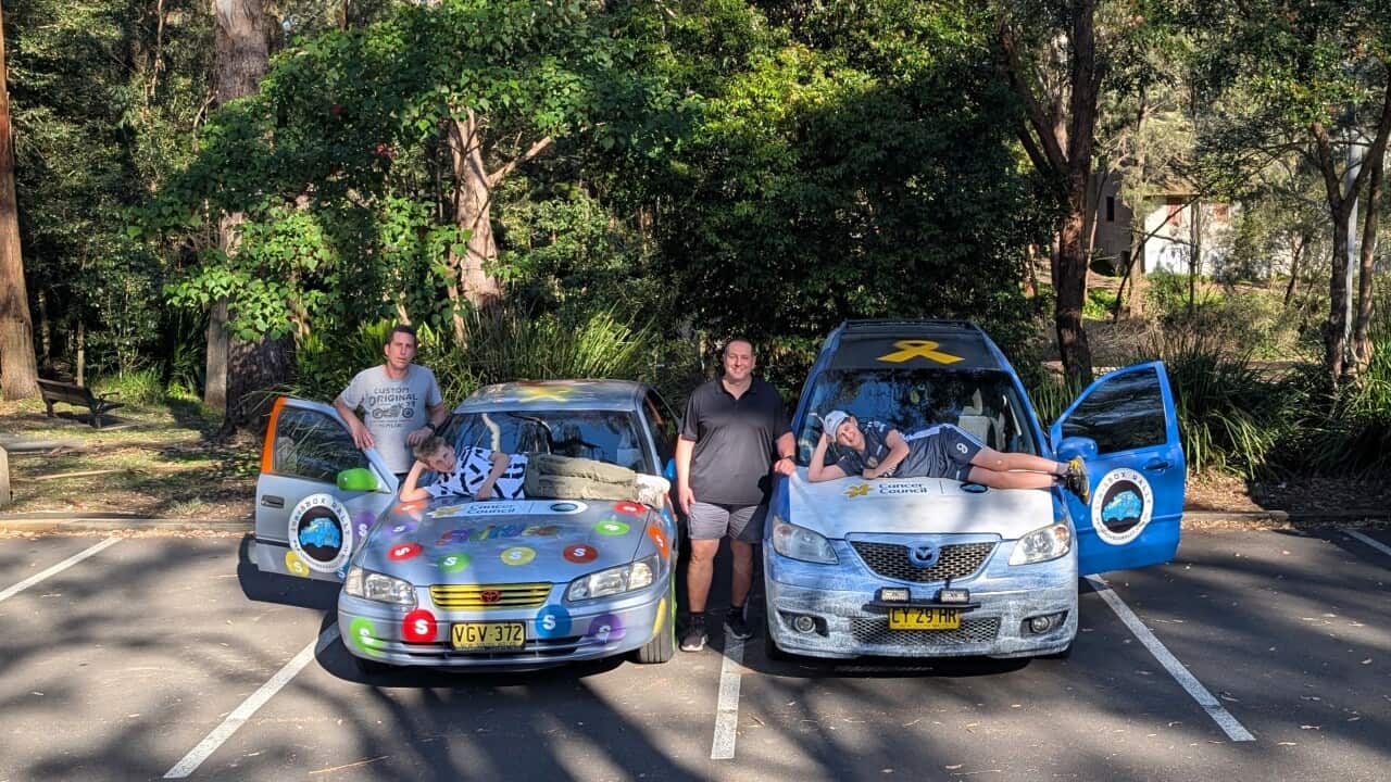 Credit: הדר מרלו