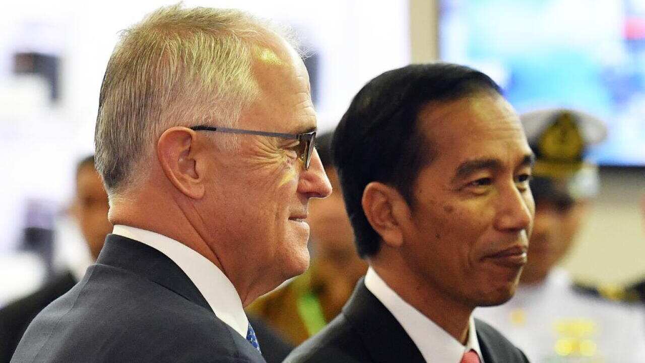 Turnbull Jokowi