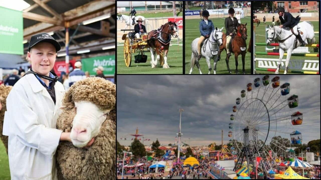 SBS Sinhala Asidisi Adelaide Royal Show.jpg