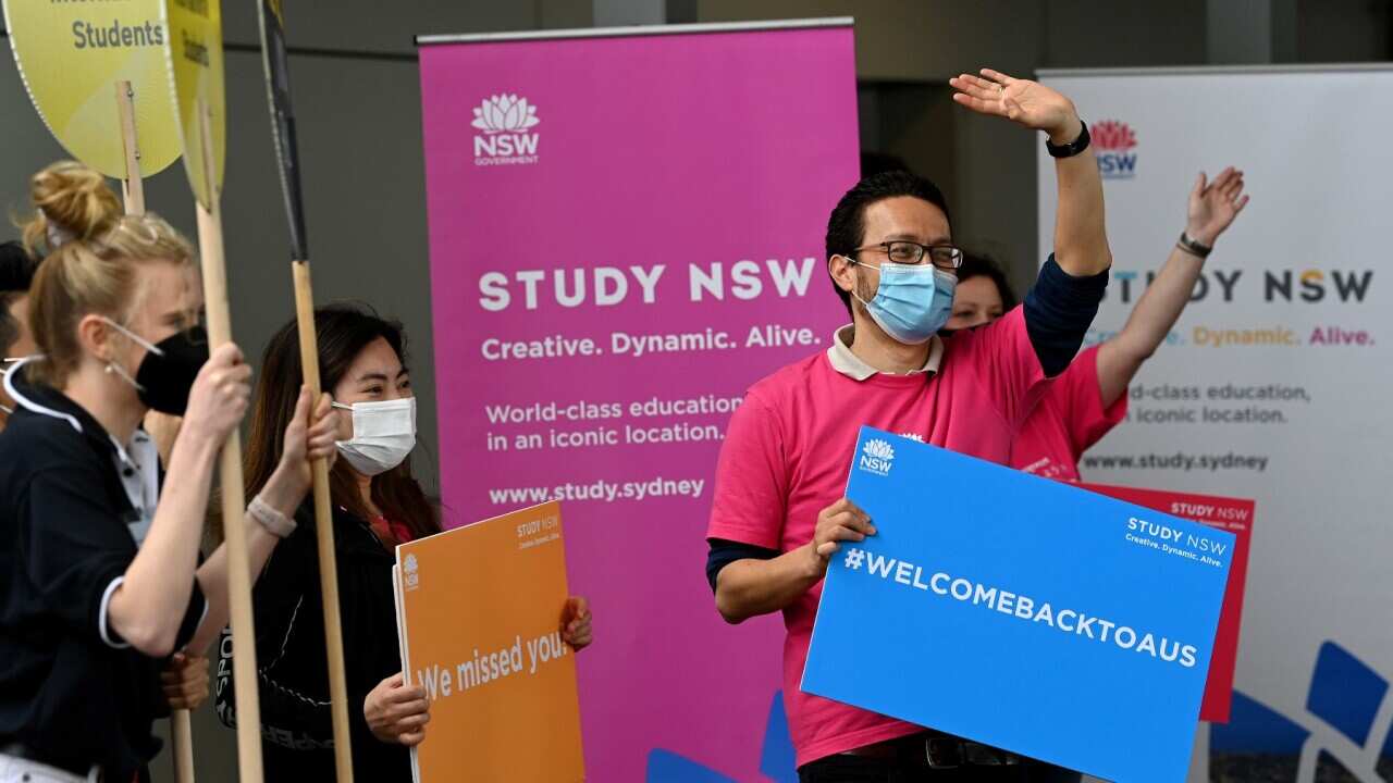 sydney airport, international students