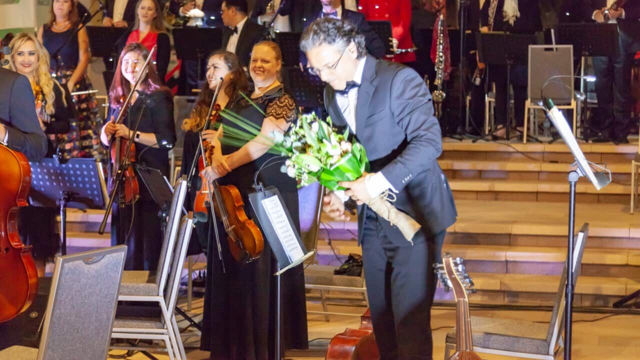 Music Composer Radaydeh